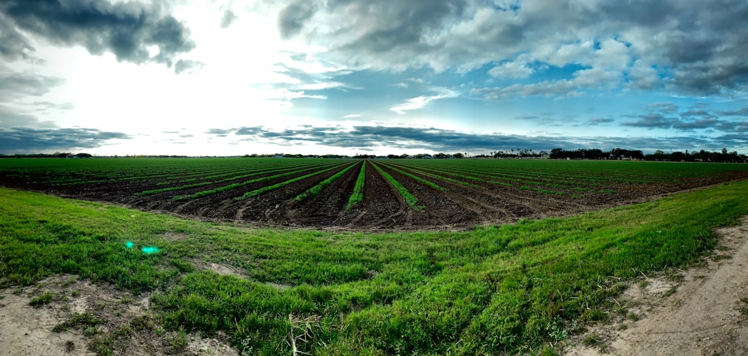 Monitoring NPK Tanah - grass field under cloudy sky
