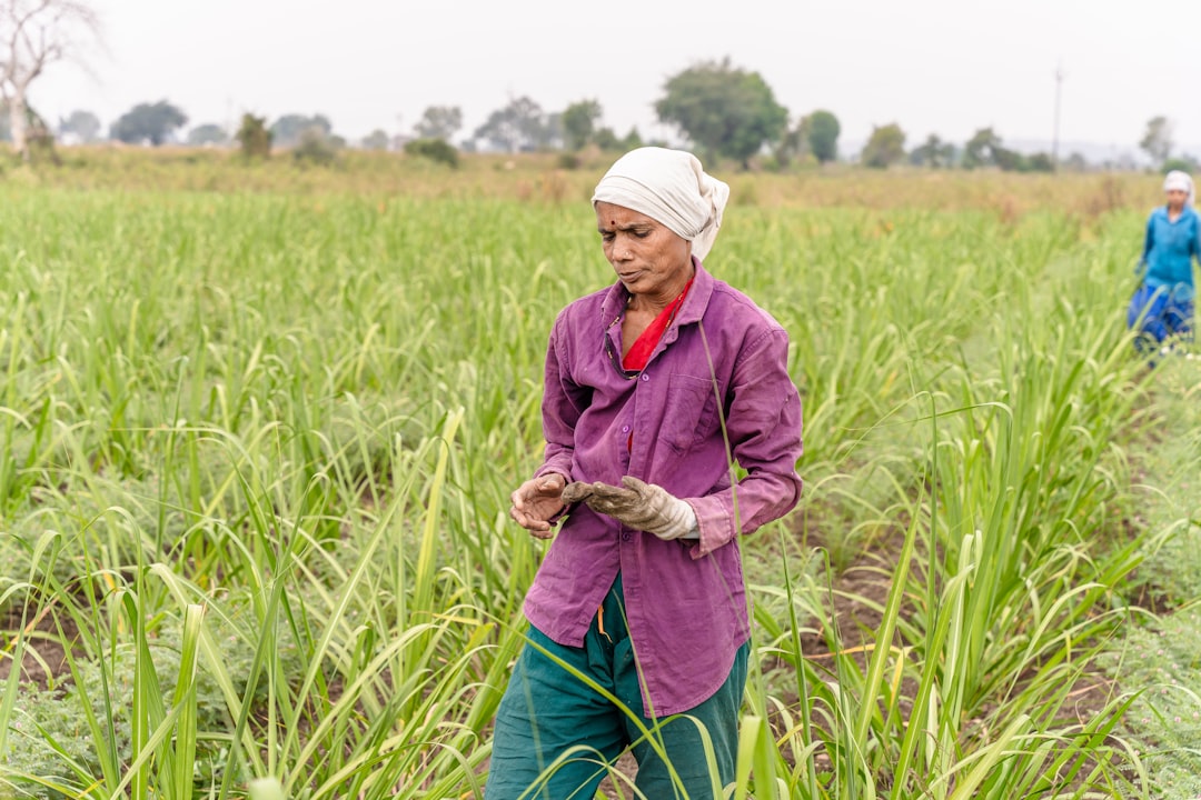 a woman standing in a field of tall grass