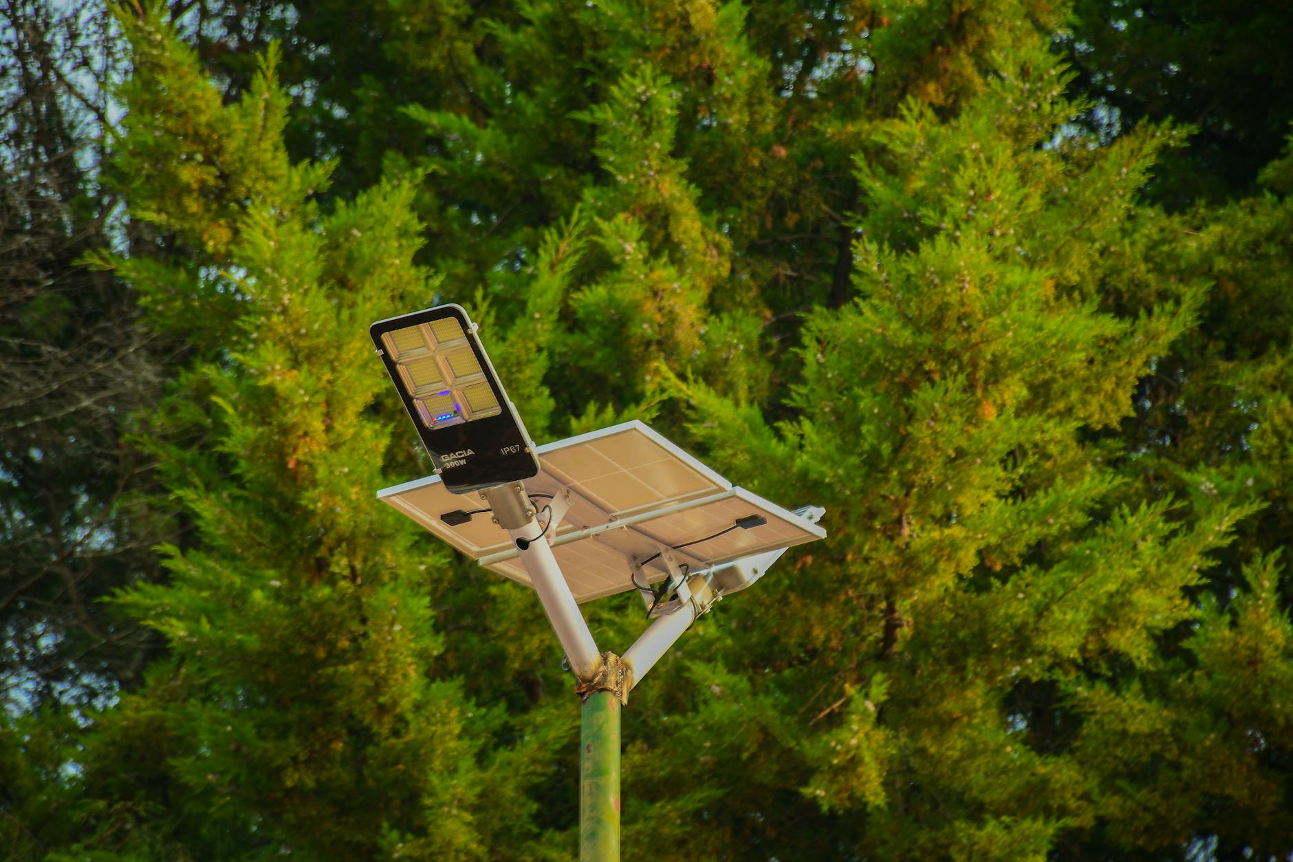 A solar-powered street light set against vibrant green conifer trees, symbolizing sustainable energy.