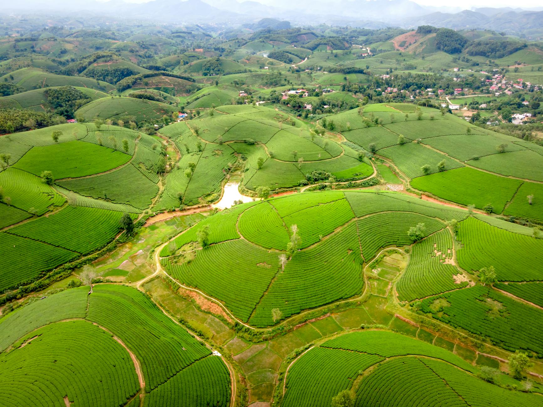 Stunning aerial view of lush green hills and agricultural fields, showcasing the beauty of nature.